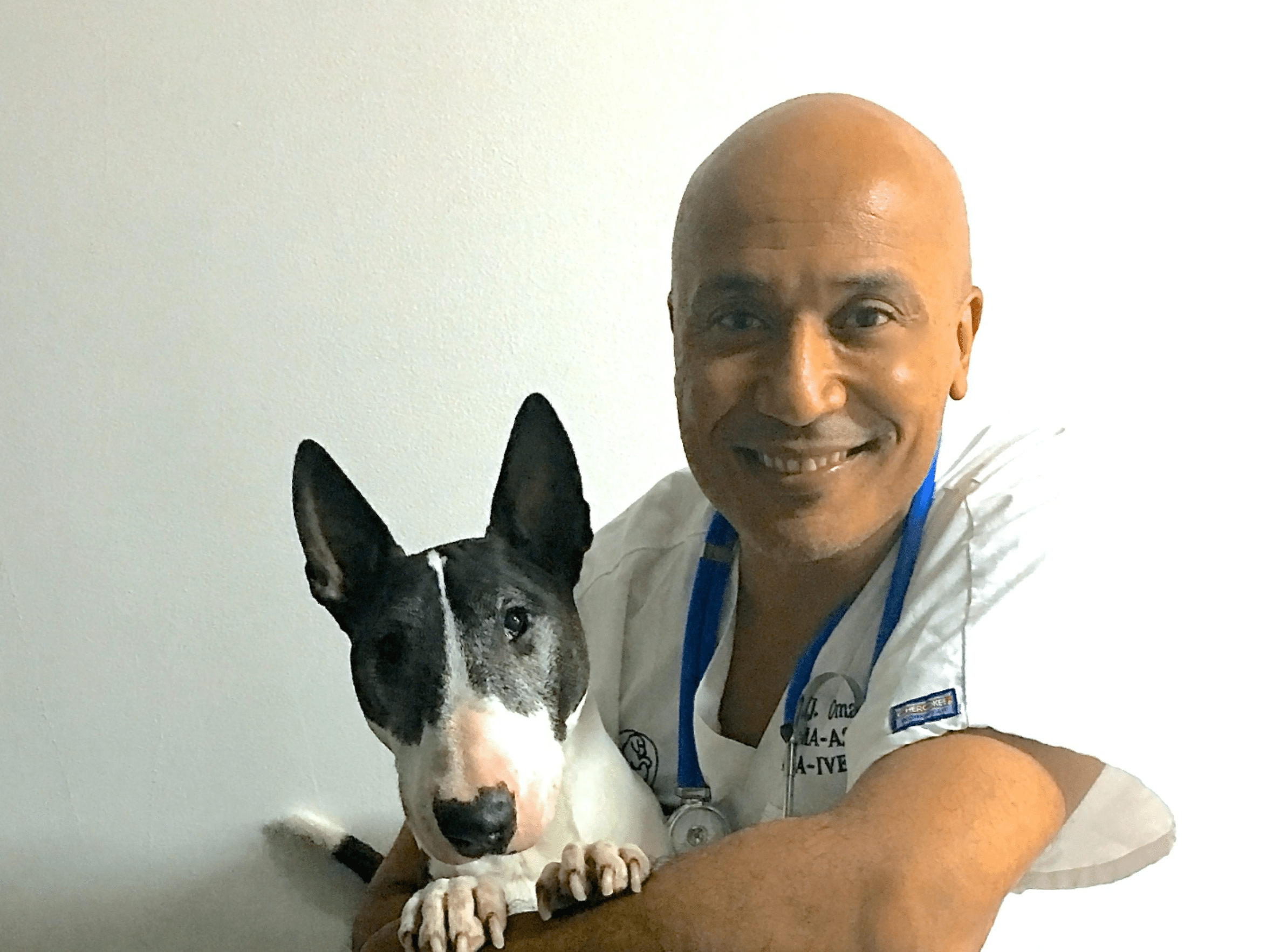 Geneva Animal Hospital, Animal Hospital Geneva, Cabinet Vétérinaire International,Geneva Veterinarian, veterinarian Geneva, Dr Omaboe