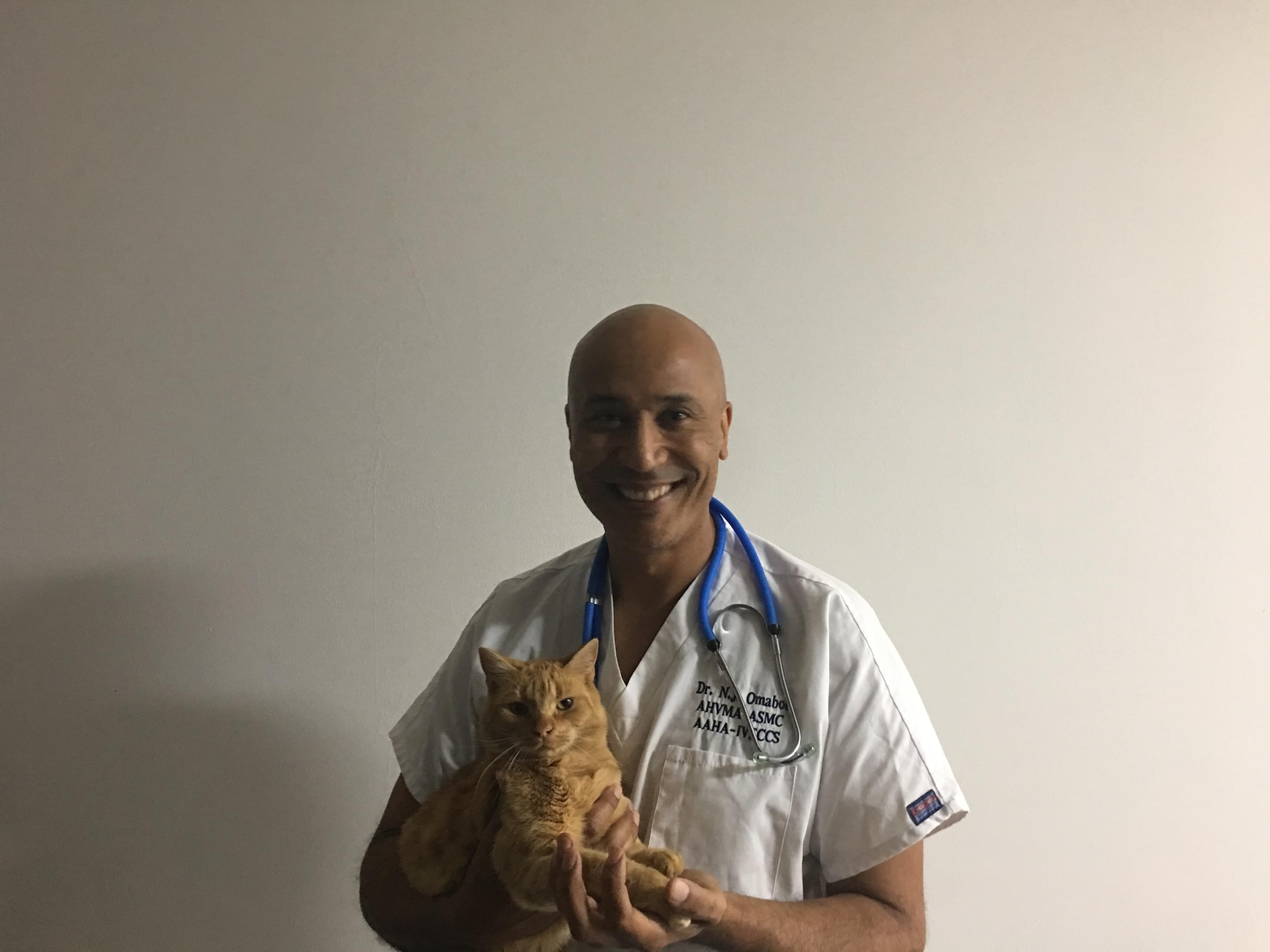 Geneva Animal Hospital, Animal Hospital Geneva, Cabinet Vétérinaire International, Geneva Veterinarian, veterinarian Geneva, Dr Omaboe with Thor